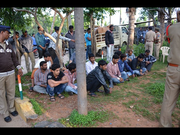  స్నేక్ గ్యాంగ్