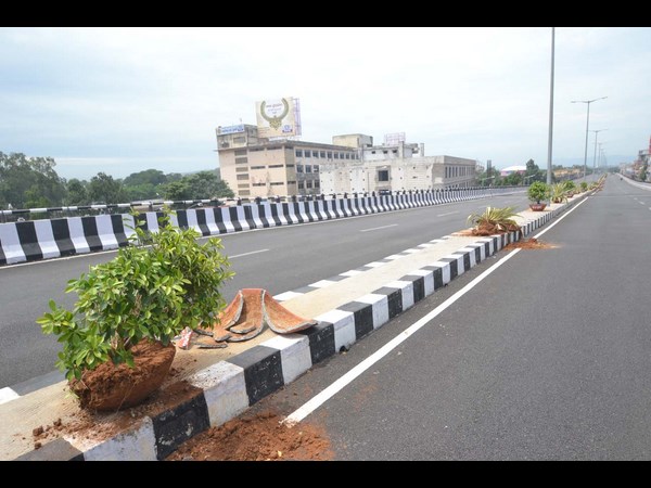  బీర్లు తాగేసి, మొక్కలు ధ్వంసం