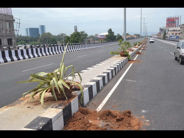 బీర్లు తాగేసి, మొక్కలు ధ్వంసం