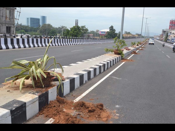 బీర్లు తాగేసి, మొక్కలు ధ్వంసం