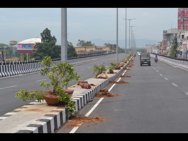 బీర్లు తాగేసి, మొక్కలు ధ్వంసం