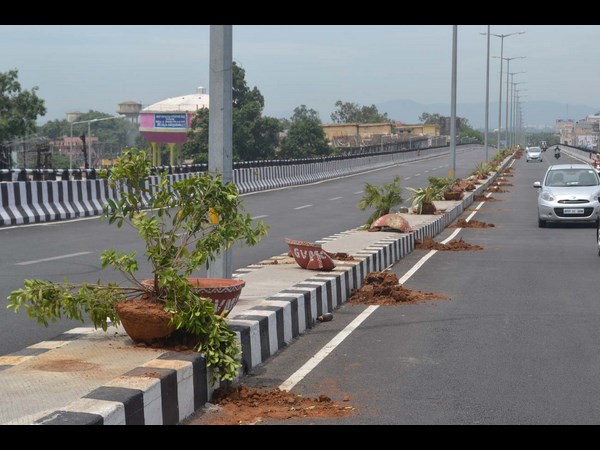 బీర్లు తాగేసి, మొక్కలు ధ్వంసం
