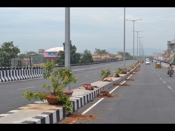 బీర్లు తాగేసి, మొక్కలు ధ్వంసం