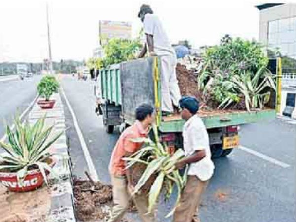 బీర్లు తాగేసి, మొక్కలు ధ్వంసం