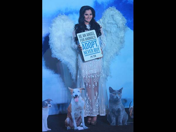 సానియా మీర్జా సానియా మీర్జా