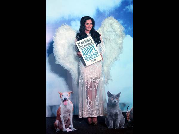 సానియా మీర్జా సానియా మీర్జా