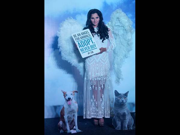 సానియా మీర్జా సానియా మీర్జా