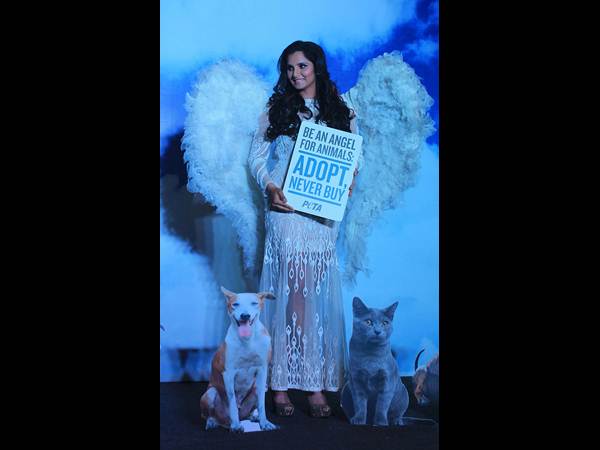 సానియా మీర్జా సానియా మీర్జా