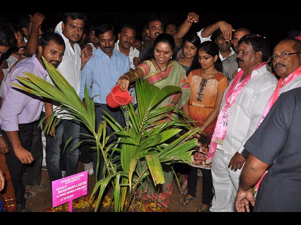 కవిత ఇలా...