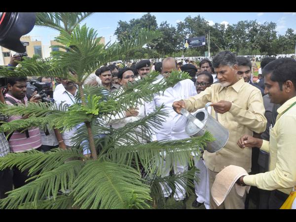 చంద్రబాబు