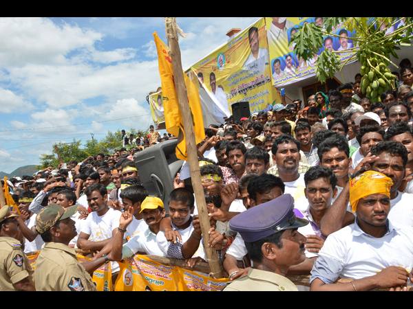 అభిమానులు, కార్యకర్తలు