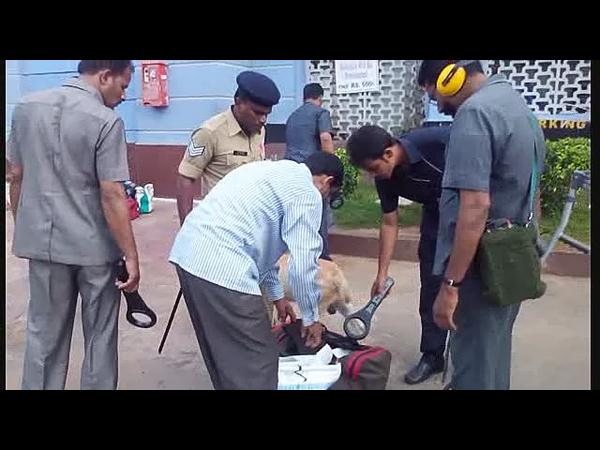 బాంబు స్క్వాడ్