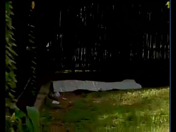  తెల్లపులి