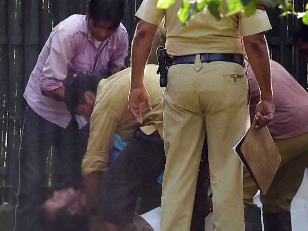 తెల్లపులి