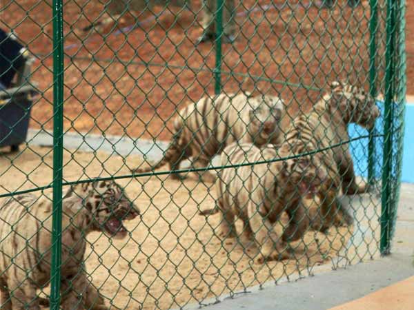  జూపార్క్