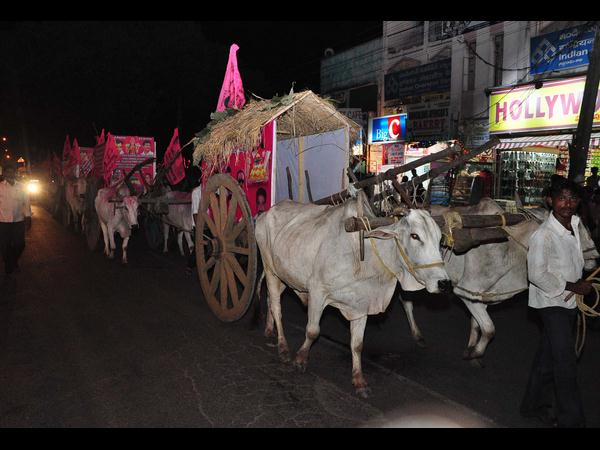 బతుకమ్మ