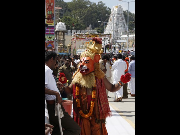తిరుమల మాడవీధుల్లో చిన్న శేష వాహనంపై శ్రీవారు