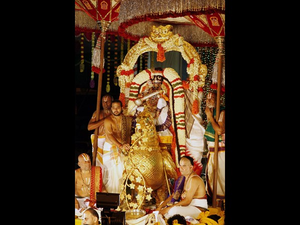  తిరుమల మాడవీధుల్లో చిన్న శేష వాహనంపై శ్రీవారు