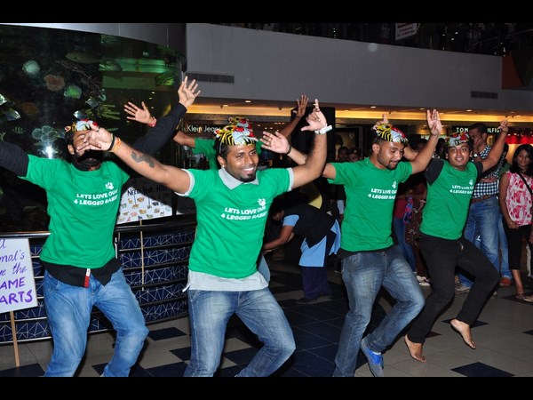 వైల్డ్ అండ్ బ్యూటీఫుల్