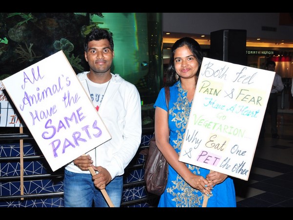 వైల్డ్ అండ్ బ్యూటీఫుల్