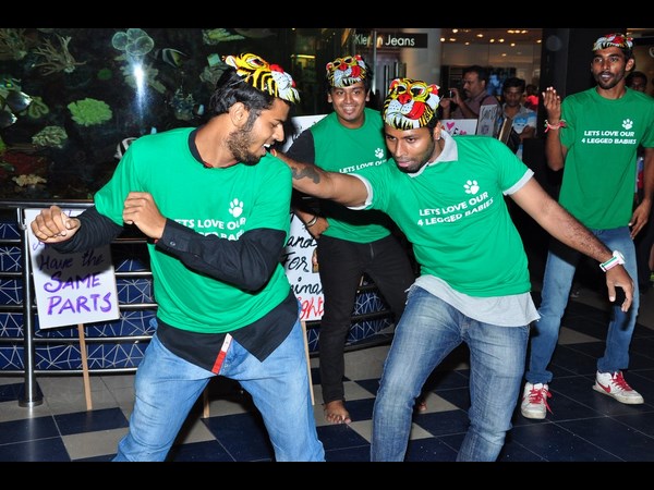 వైల్డ్ అండ్ బ్యూటీఫుల్