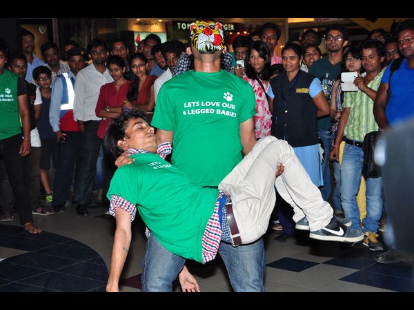  వైల్డ్ అండ్ బ్యూటీఫుల్