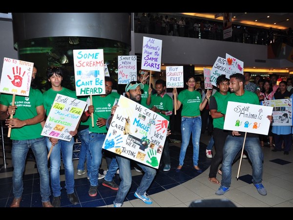 వైల్డ్ అండ్ బ్యూటీఫుల్