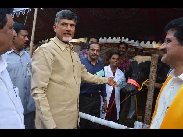  జన్మభూమి