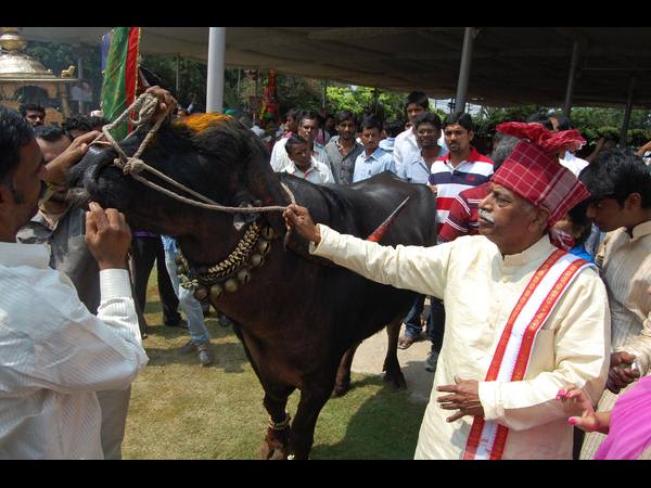  అలయ్ బలయ్