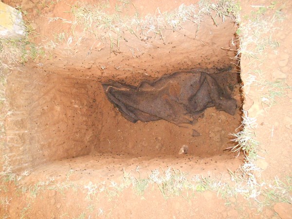 గోయి ఇదే...