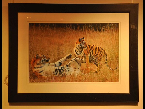  ర్యాంప్‌ వాక్‌తో కనువిందు చేసిన ముద్దుగుమ్మలు