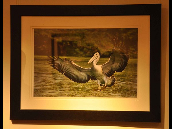 ర్యాంప్‌ వాక్‌తో కనువిందు చేసిన ముద్దుగుమ్మలు