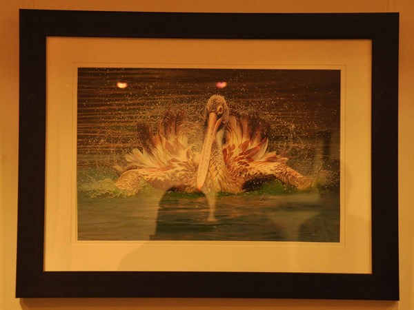 ర్యాంప్‌ వాక్‌తో కనువిందు చేసిన ముద్దుగుమ్మలు