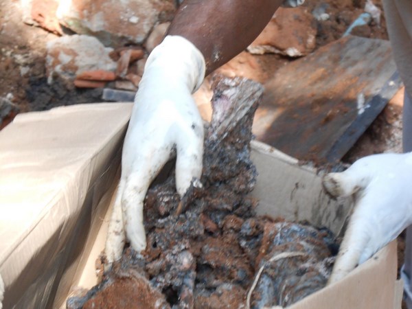 కడప హత్యలు