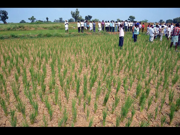 తెలంగాణ కాంగ్రెస్