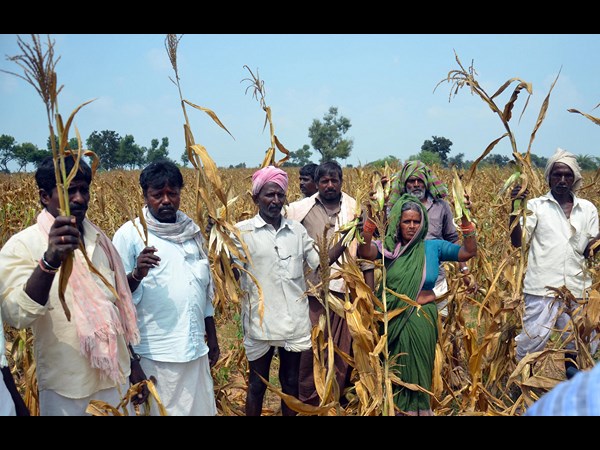 తెలంగాణ కాంగ్రెస్