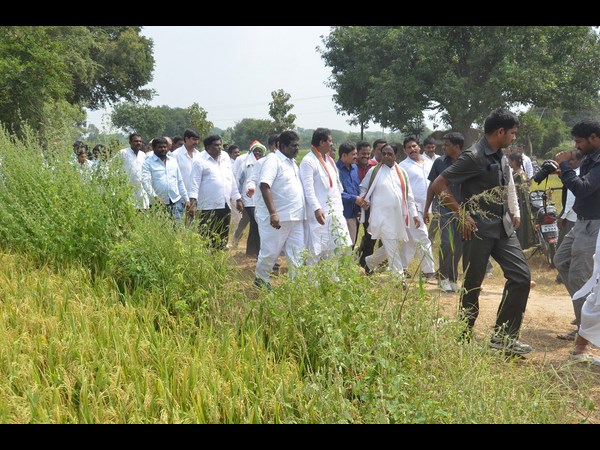 తెలంగాణ కాంగ్రెస్