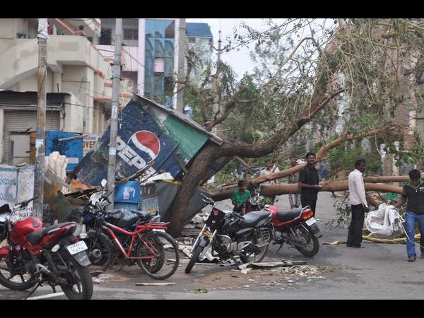 ఇలా కూలిన చెట్లు..