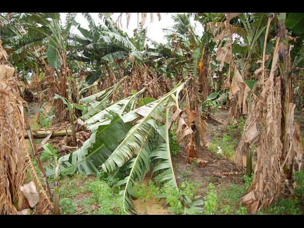  అధికారులపై సీఎం చంద్రబాబు నాయుడు అసంతృప్తి 