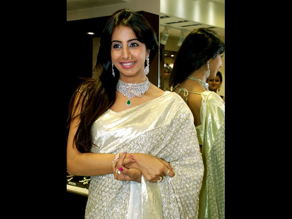 దివాళీ ఫెస్టివ్ ఎగ్జిబిషన్ దివాళీ ఫెస్టివ్ ఎగ్జిబిషన్