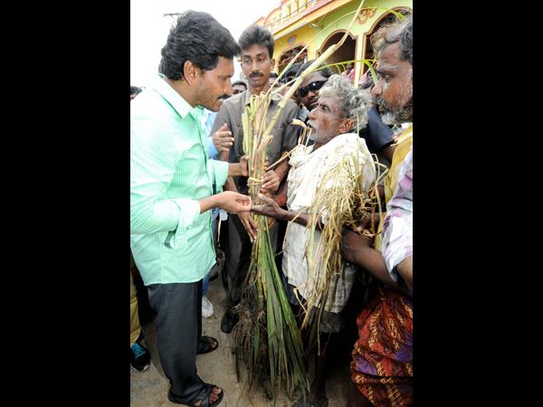 వైయస్ జగన్ వైయస్ జగన్
