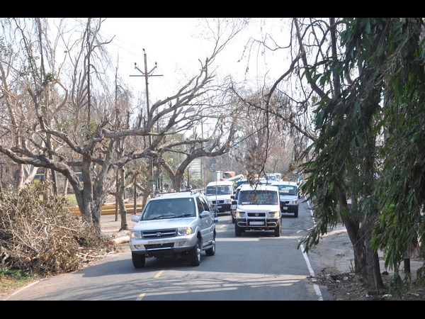 తుఫాను ధాటికి విరిగిపోయిన చెట్లు