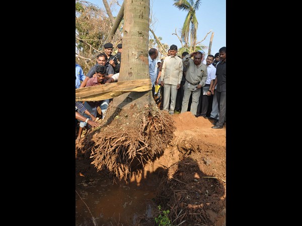 వుడా పార్కులో..