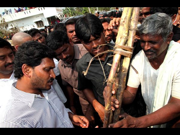  జగన్