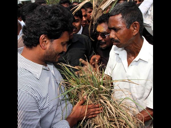  జగన్
