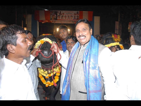 సదర్ జోష్