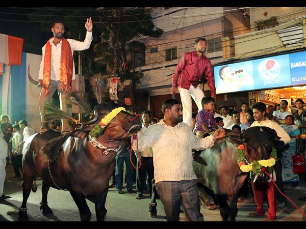 సదర్ జోష్