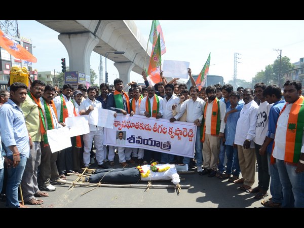 తీగల దిష్టిబొమ్మ తీగల దిష్టిబొమ్మ