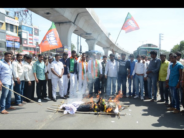 తీగల దిష్టిబొమ్మ తీగల దిష్టిబొమ్మ