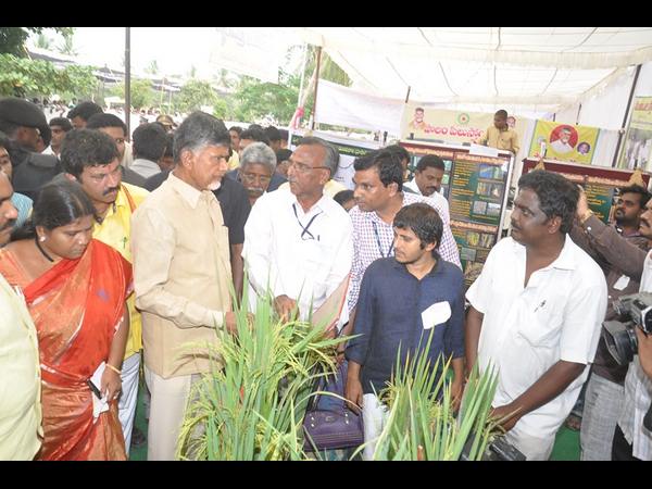 చంద్రబాబు ఇలా...